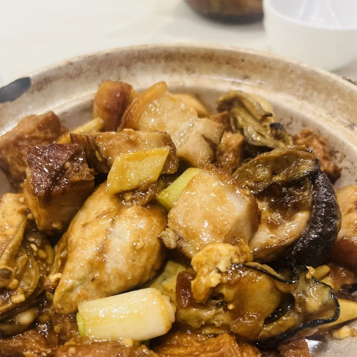 Braised Bean Curd with Brown Sauce 红烧豆腐